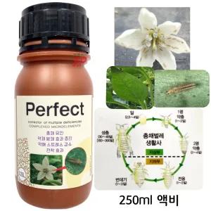 총채벌레 퇴치제 퍼펙트 250ml 액비 꽃노랑 총채벌레 유충 전용 미끼제 유인제 농약 혼용 보조제 고추 재배 오이 파 배추 상추 딸기 화분 화초 관엽식물 텃밭 주말농장 장마대비 용