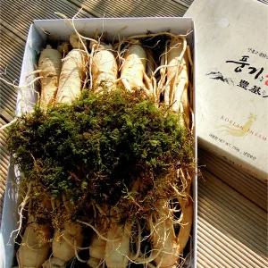 [풍기인삼] 6년근 풍기수삼(대) 750g(9~10뿌리)