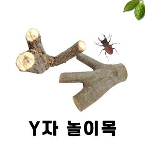 곤충 Y자 놀이목 사슴벌레 장수풍뎅이 키우기 사육 용품 천연나무