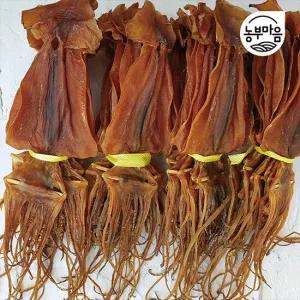 남해 쫄쫄이 마른 오징어 대 10마리 650g