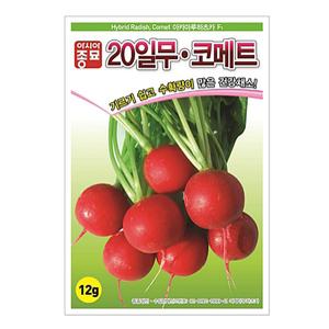 적환무 무씨앗 20일무 코메트 12g 방울무