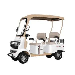 4륜 전동카트 골프카트 4인용 전동차 골프카 노인 전동스쿠터 캐디카 800W 60V