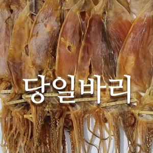 당일바리 파품오징어 1KG  파품 파지 파치 피데기 마른오징어 5-10마리 다양한크기