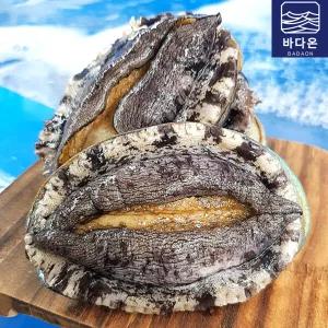 완도활전복 1kg 9-10미(미당100g내외) [산소팩 무료배송]