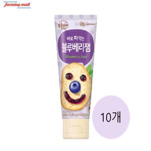 [보금푸드] 복음자리 바로 짜먹는 블루베리잼 100g 10개