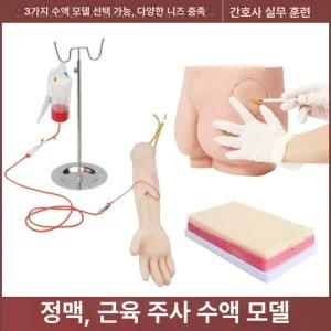 엉덩이모형 연습용 교육용 주사수업 모형 실습 교육 피규어
