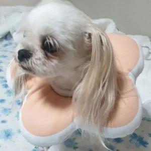 목받침 편안한 핑크중형 고양이넥카라
