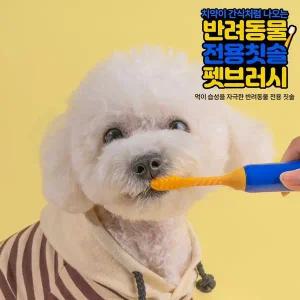 치약이 간식처럼 나오는 반려동물 전용 펫브러시 칫솔 개