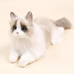 렉돌 진짜같은 고양이 인형 ragdoll 애착 선물 리얼 고양이인형 동물 자세의 화이트