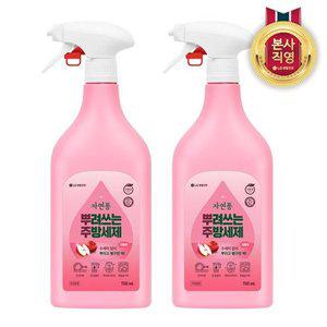 [엘지생활건강]자연퐁 뿌려쓰는 주방세제 애플향 용기형 750ml x 2개