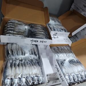 국산 다대포 대용량 실속 자반고등어 간고등어 48마리 24손 업소용