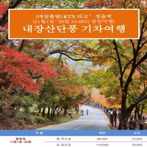 [KTX] 오색단풍 내장산 기차여행(11/1-11/23 10:40出 당일)