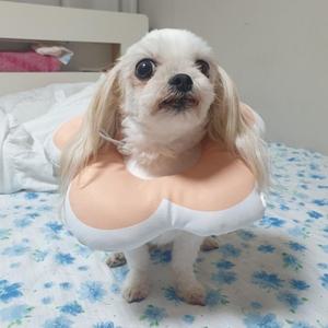 꽃피는강아지고양이쿠션넥카라핑크M