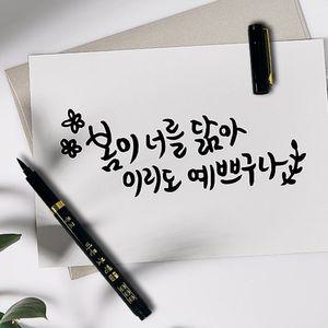 [2차 재입고] 부드러운 방명록 붓펜 브러쉬펜