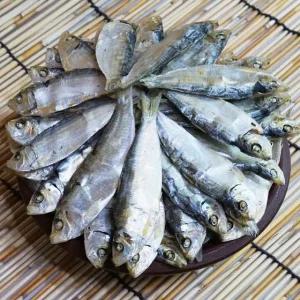국물내기진수 베트남 디포리 1.5kg 밴댕이 육수용