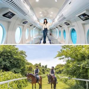 [제주] 우도잠수함+더마파크 /우도 잠수함 승마 카트 공연