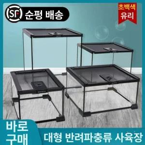 곤충 사육통 채집통 사육장 장수풍뎅이집 포충망 기록 장수풍뎅이 관찰통
