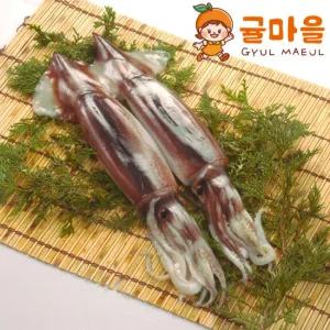 귤마을 국내산 손질 통오징어 3마리 600g내외