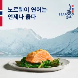 [은하수산] 노르웨이 생연어 필렛 300g