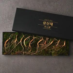 [롯데백화점]상산재 평창산삼 산양삼 지리적 표시 평창산양삼 상산재 10년근 50g 세트