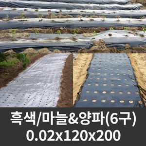 흑색 유공비닐 마늘/양파 0.02x120x200 6구