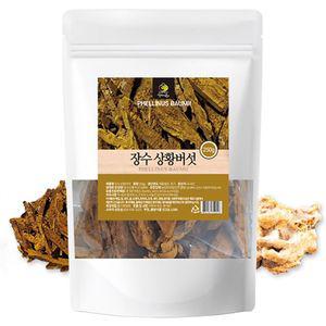 장수 상황버섯 250g 분말 가루 식료품 식품원료 건강 진액 기능식품 즙