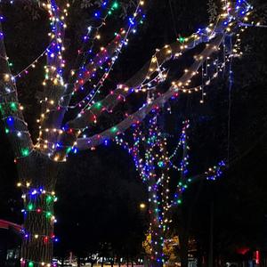 LED 칼라 100구 지니전구 10M 연결형 트리전구