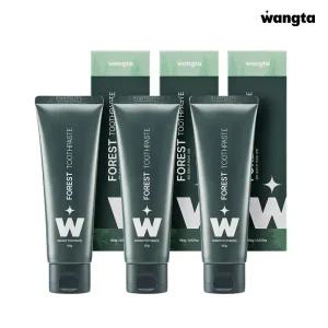 왕타 포레스트 프레시 구취케어 치약 100g x3개