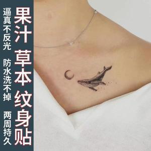 여성용 고래 달 일회용 문신, 지속되는 허브 주스 쇄골 예술 인조 섹시한 방수 스티커