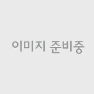 국내산 통 오징어 200g(팩당1미)*12팩 / 총12미