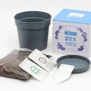 미니 꽃 화원 만들기 DIY재료 키트화분세트 사무실식물 씨앗 심기 관찰학습 과학교구 아하그렇구나 단체선
