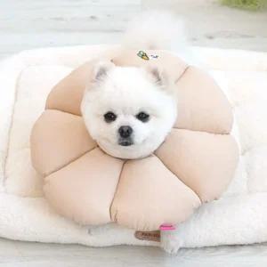 패리스독 꿀잠카라 베이지XL강아지깔때기 반려견넥 목보호대 고양이 깔대기 수술 미용 강아지 목대