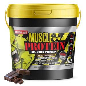 콜라스탈 랩스 근육 단백질 유청 분말 [12파운드/1팩] 차가운 여과 순수 25g BCAA 6.6g (포장은 다를 수 있음) (12파운드 초콜릿)