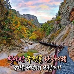 [강원] 설악산 국립공원 주전골 단풍트레킹(오색약수~용소폭포) 당일여행 / 가을단풍여행 / 서울경기出