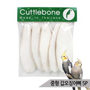 천연 갑오징어뼈 중형 5P 앵무새간식 칼슘 부리강화