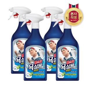 홈스타 욕실청소용 세정제 500ml 4개