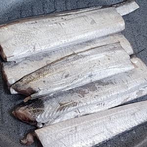 국내산 냉동 갈치 2미