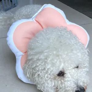꽃피는 강아지 고양이 쿠션 넥카라 핑크 L 목 깔대기 수술용품 수술용 애견 견커버 깔때기 카라