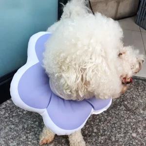 꽃피는 강아지 고양이 쿠션 넥카라 퍼플 L 목 깔대기 수술용품 수술용 애견 견커버 깔때기 카라