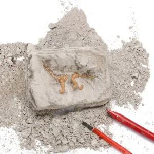 빅드림_공룡화석 발굴체험_교구