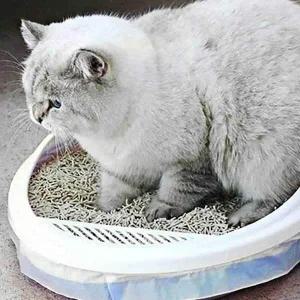 애묘변기 애묘용품 고양이 화장실 봉투 냥이 배변