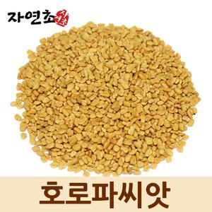 자연초 호로파 씨앗 1kg 호로파씨