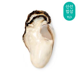 [품질보장] 통영산 최상급 통통생굴 1kg / 드디어 햇굴 첫 출하! /2건 이상 구매시 초장증정