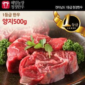 전라도 청정한우 1등급 양지 500g