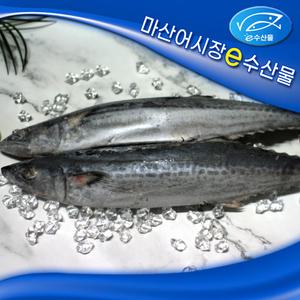 국산 삼치 2마리 50cm 큰 크기 통마리 냉동 삼치 구이 조림용 등푸른 생선