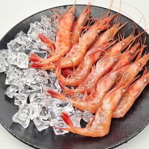 동해안 제철 단새우 1kg