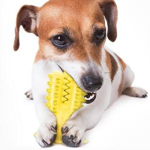 [하프클럽/알티피아]비타리토 애견 치석제거 치카토이 9x13cm 노란선인장