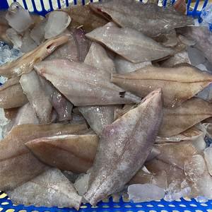 기름 가자미 물가자미) 세꼬시 3세트  300g+초장100g 1팩) x 3