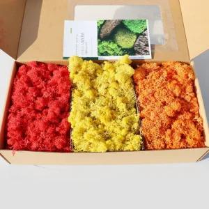 모나코플라워 스텔라 모스이끼 3색 세트 500g (붉은빛 가을)