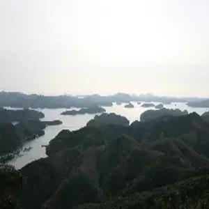 대마도 1일 #노바호 #당일치기 #가성비 추천